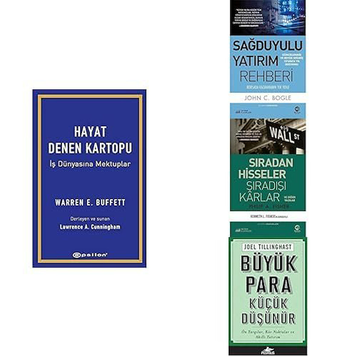 Hayat Denen Kartopu,Sağduyulu Yatırımci,Sıradan Hisseler Sıradışı Kârlar,Büyük Para Küçük Düşünür