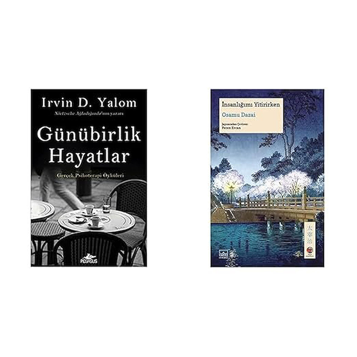 gunubirlik hayatlar+insanligimi yitirirken=2 set