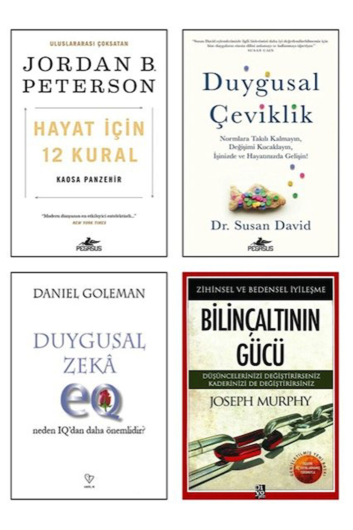 hayat icin 12 kural-duygusal ceviklik-duygusal zeka-bilincaltinin gucu=4 set