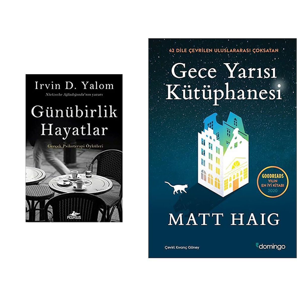 GUNUBIRLIK HAYATLAR + GECE YARISI KUTUPHANESI = 2 SET