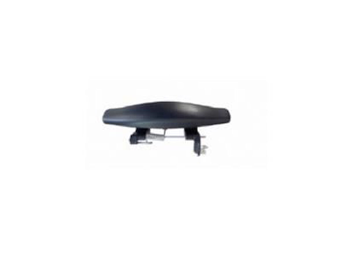 DACİA - KAPI KOLU DUSTER 2010- - 8200733838 / 806068948R