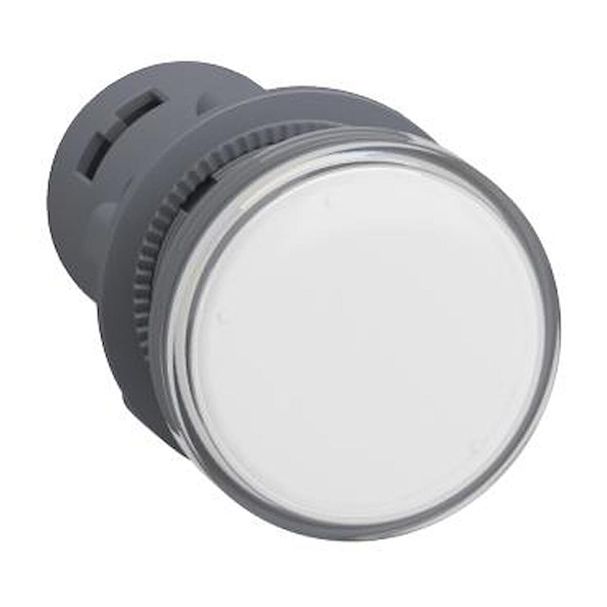XA2EVB1LC, Sinyal lambası, plastik, beyaz, Ø 22 mm, LEDli, 24 V AC/DC