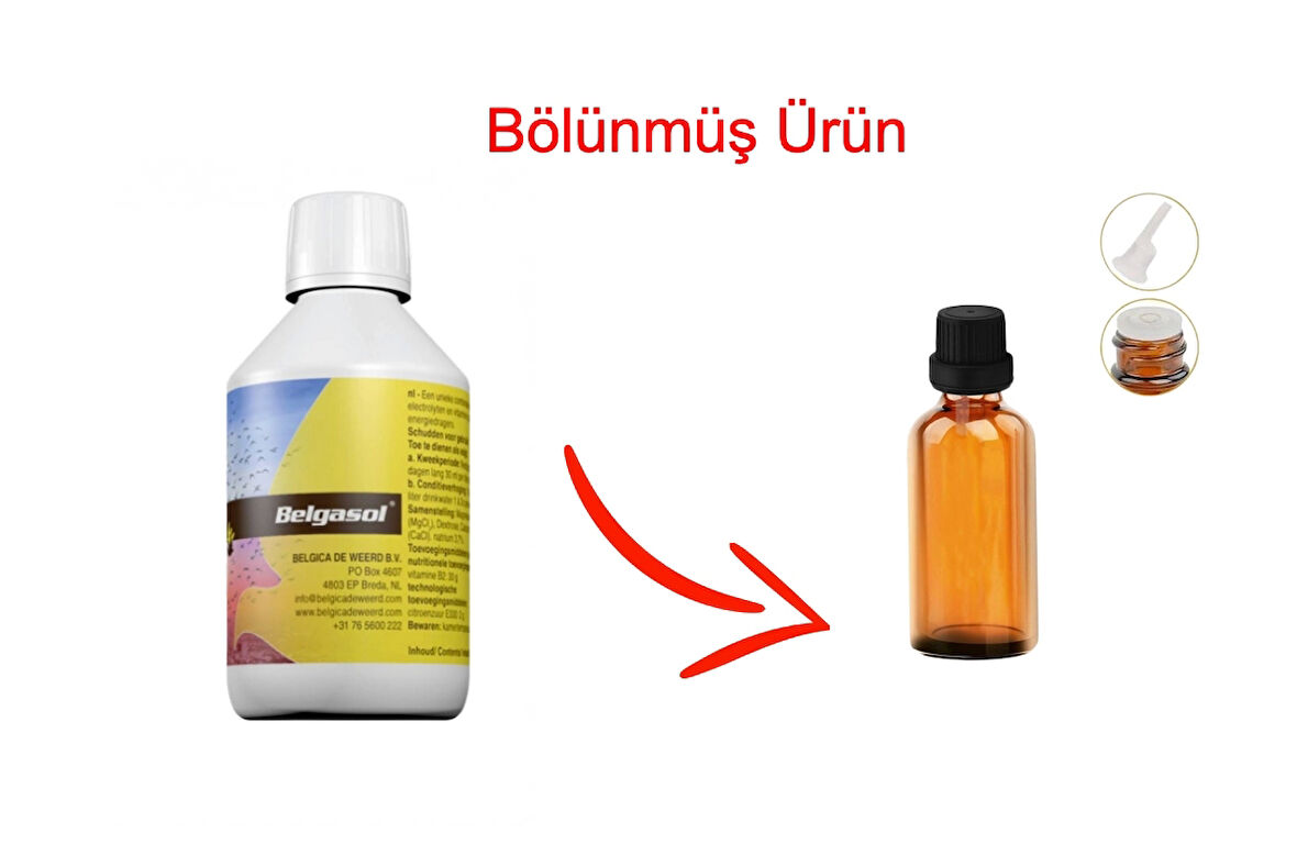 Belgasol Vitamin ve Elektrolit - 100 ml bölünmüş