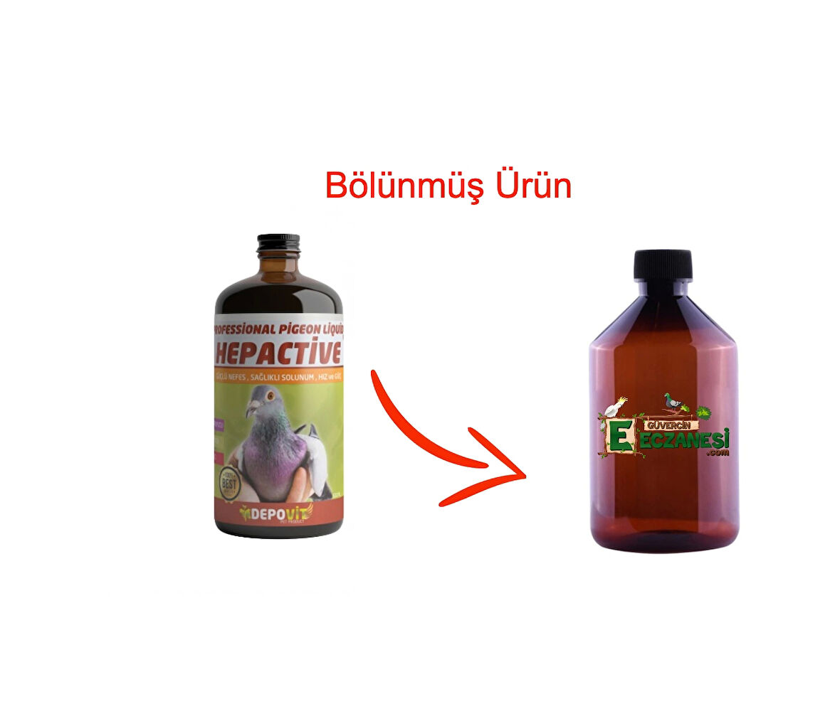 Hepactive Böbrek Karaciğer Koruyucu 250 ml bölünmüş