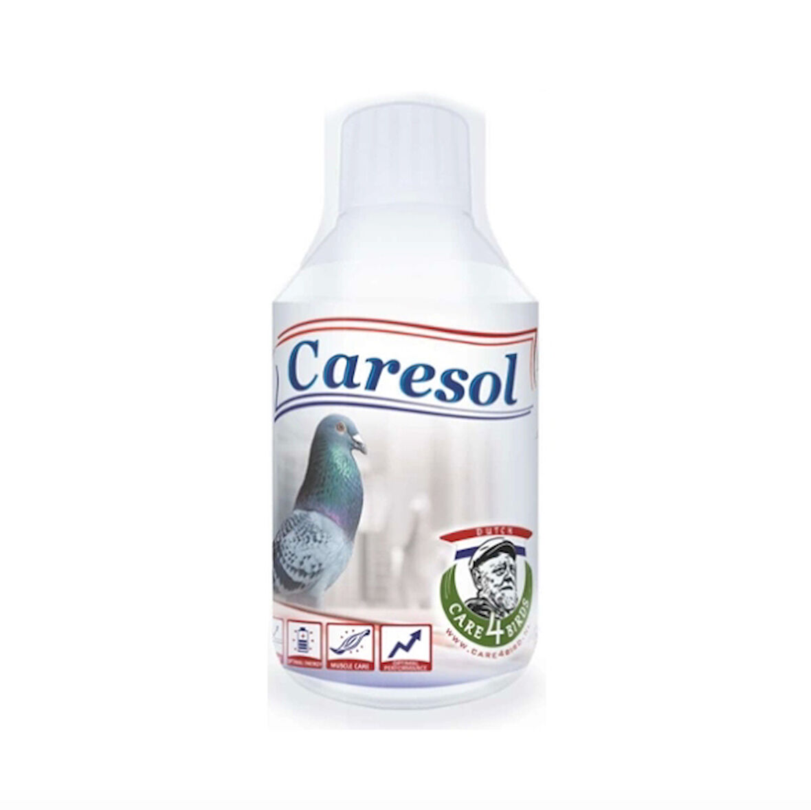 Caresol Enerji 500 ML