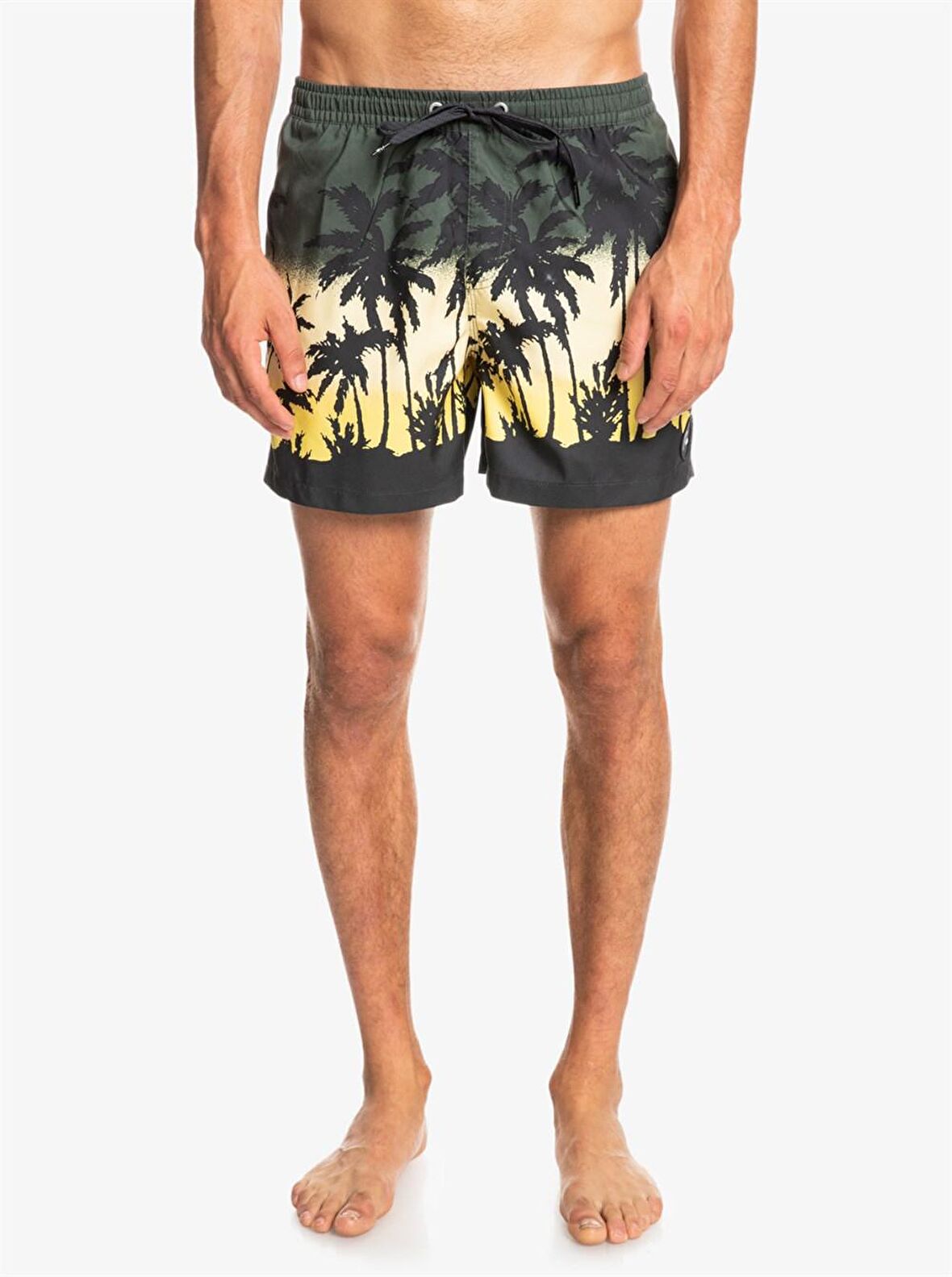 Quiksilver Everyday Paradise 15 Erkek Deniz Şortu  EQYJV03861