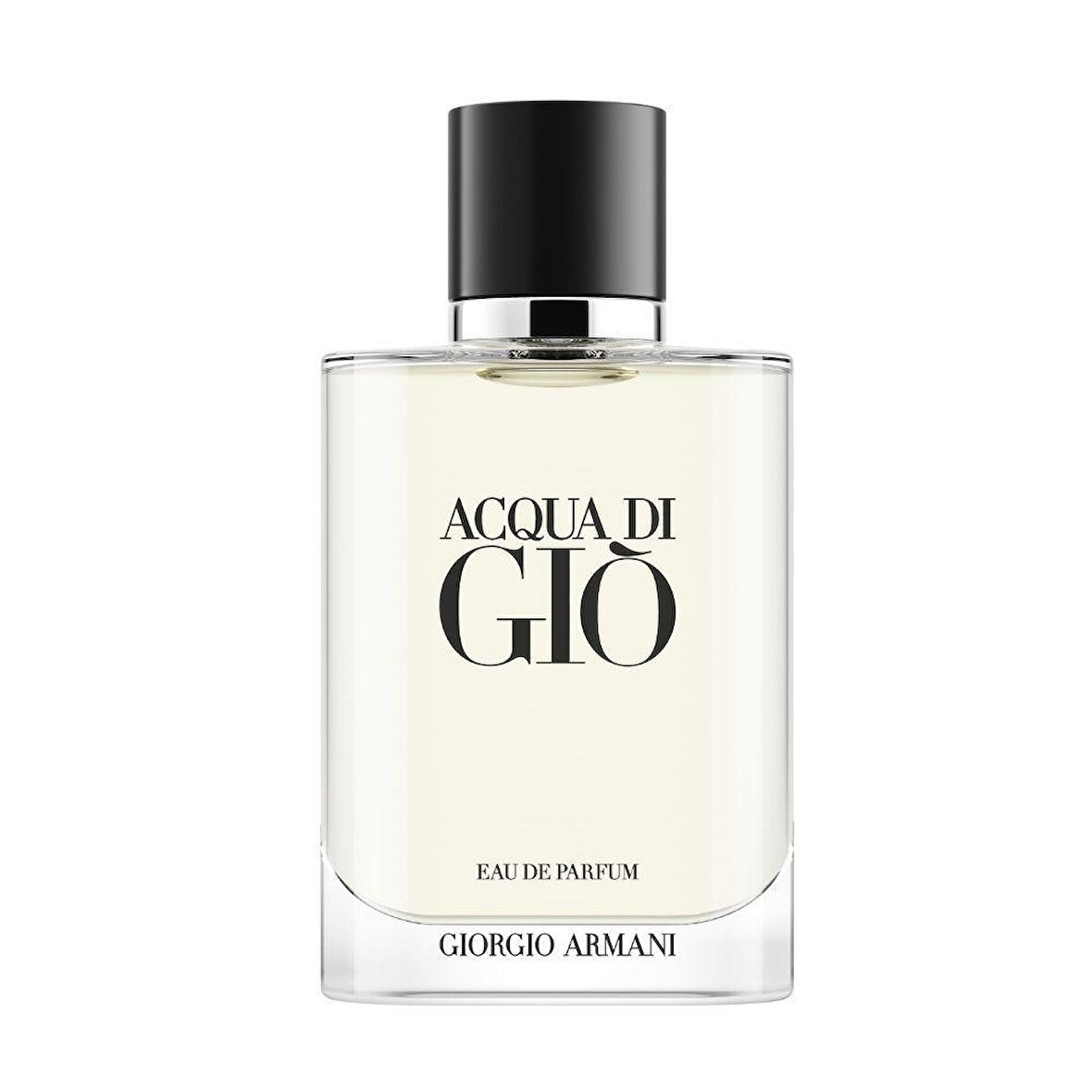 Acqua Di Gio EDP 100 ml Erkek Parfümü