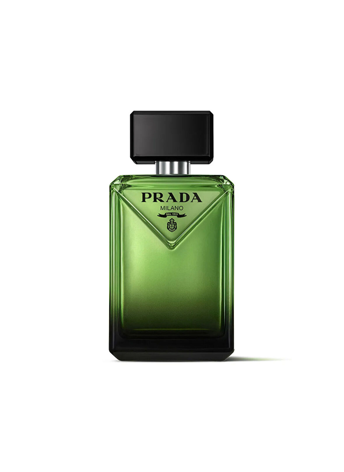 Paradigme EDP 100 ml Erkek Parfüm