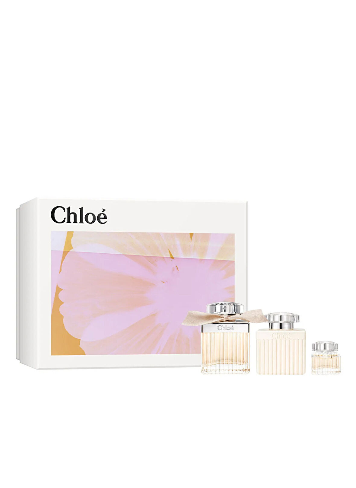 Signature Edp 100 ml Kadın Parfüm Set