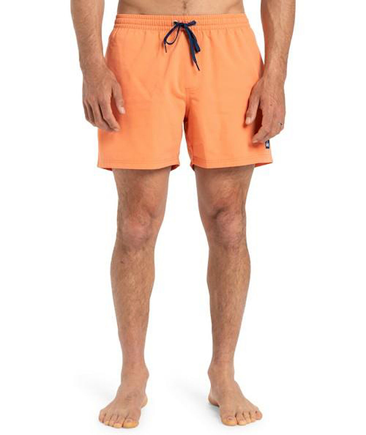 Quiksilver EQYJV04120-802 Everyday Solid Volley 15 Erkek Şort Mayo