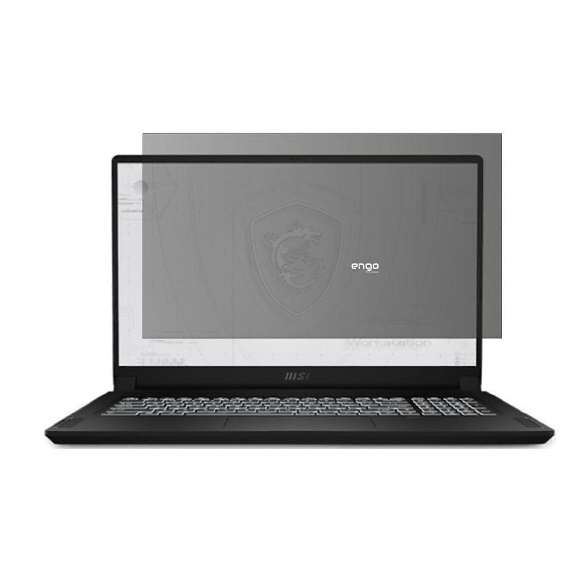 MSI WS76 11UM 17.3 İnç Hayalet Ekran Koruyucu 16:9