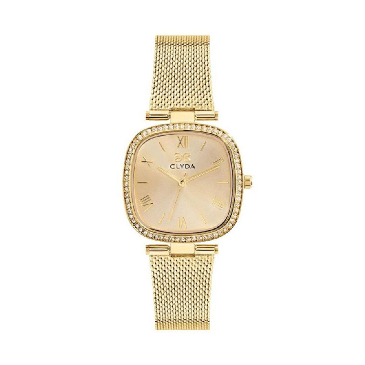 CLYDA CLA806DDD Kadın Kol Saati