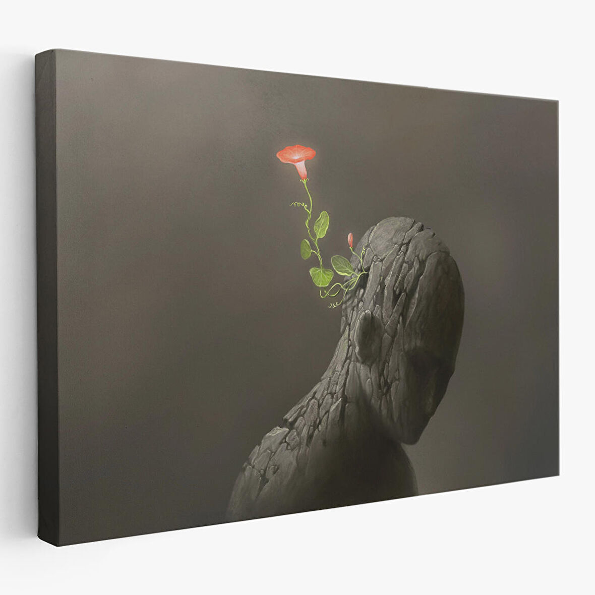 Zıtlık Ve Hayal Gücü Temalı Dekoratif Kanvas Tablo-3684