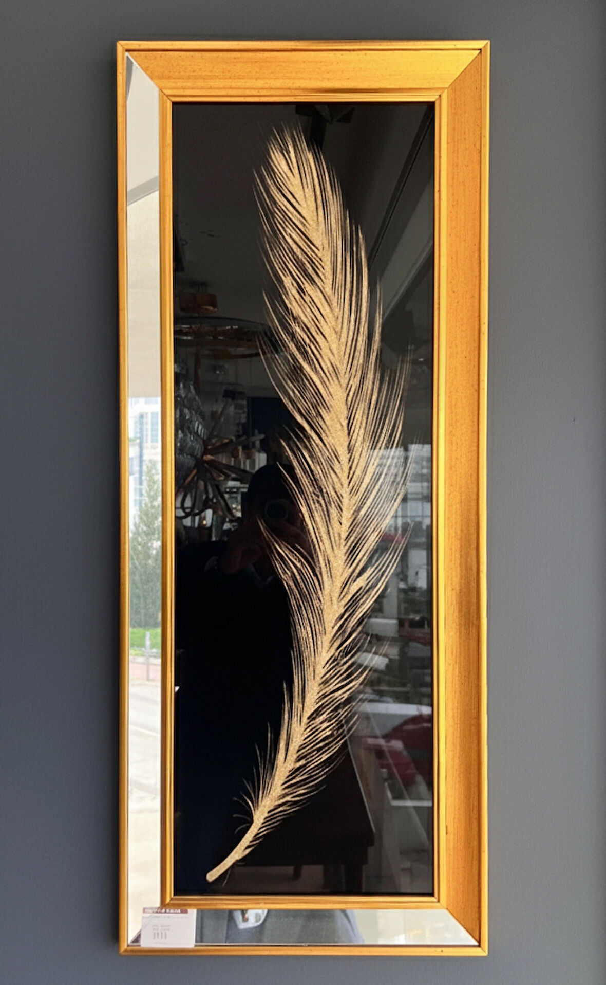 Gold Tek Tüy Temalı Aynalı Tablo