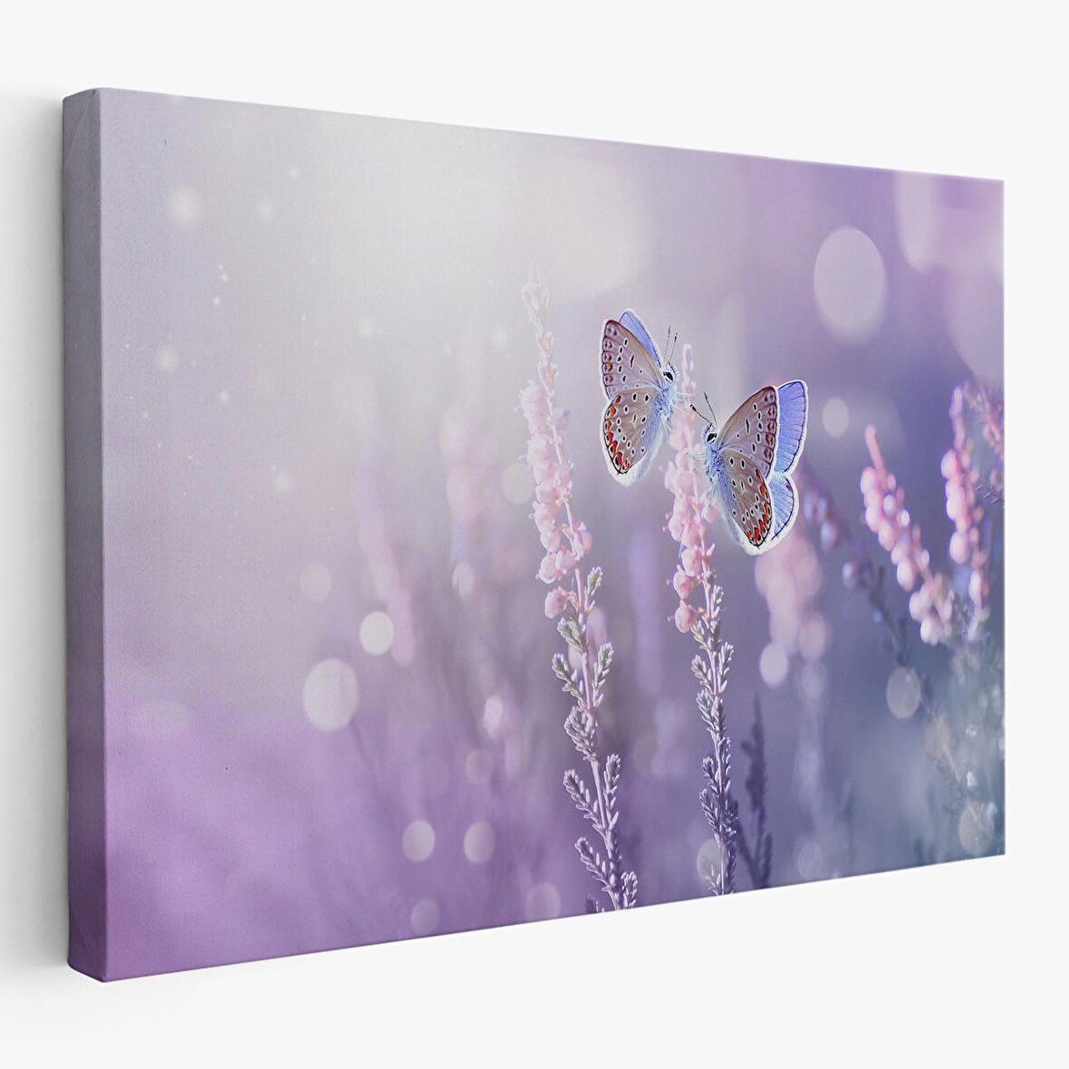 Lavanta Çiçeğindeki Zarif Kelebekler Dekoratif Kanvas Duvar Tablosu-3704