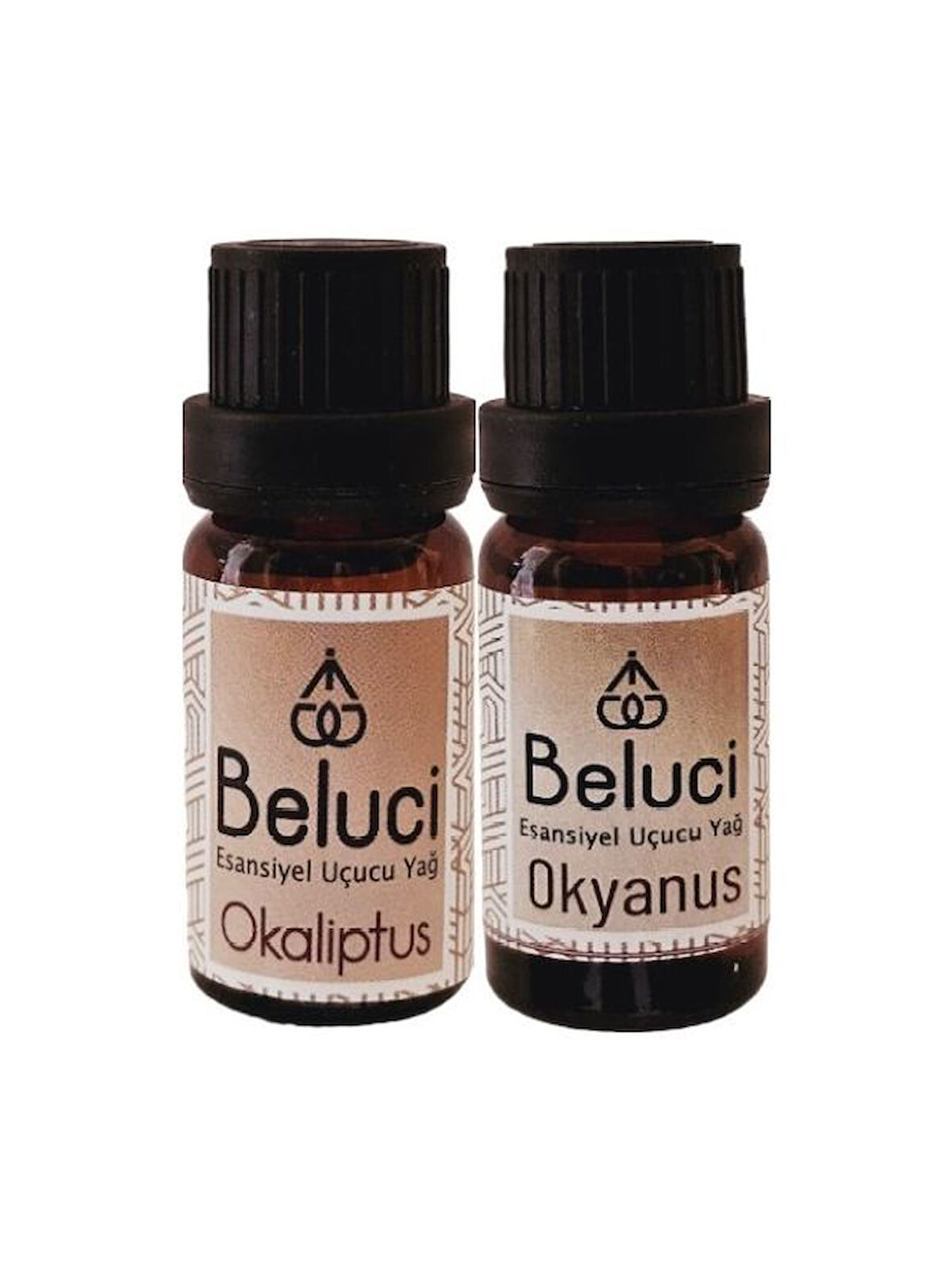 Okaliptus + Okyanus (Oda Kokusu Aroma Terapi Buhurdanlık/Difüzör Yağı) Set 2 Adet x 10 ml