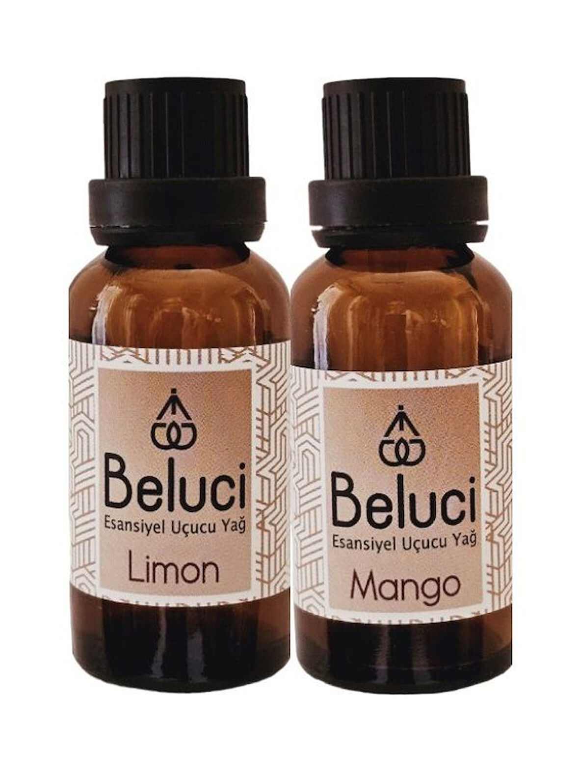 Limon + Mango (Oda Kokusu Aroma Terapi Buhurdanlık/Difüzör Yağı) Set 2 Adet x 30 ml