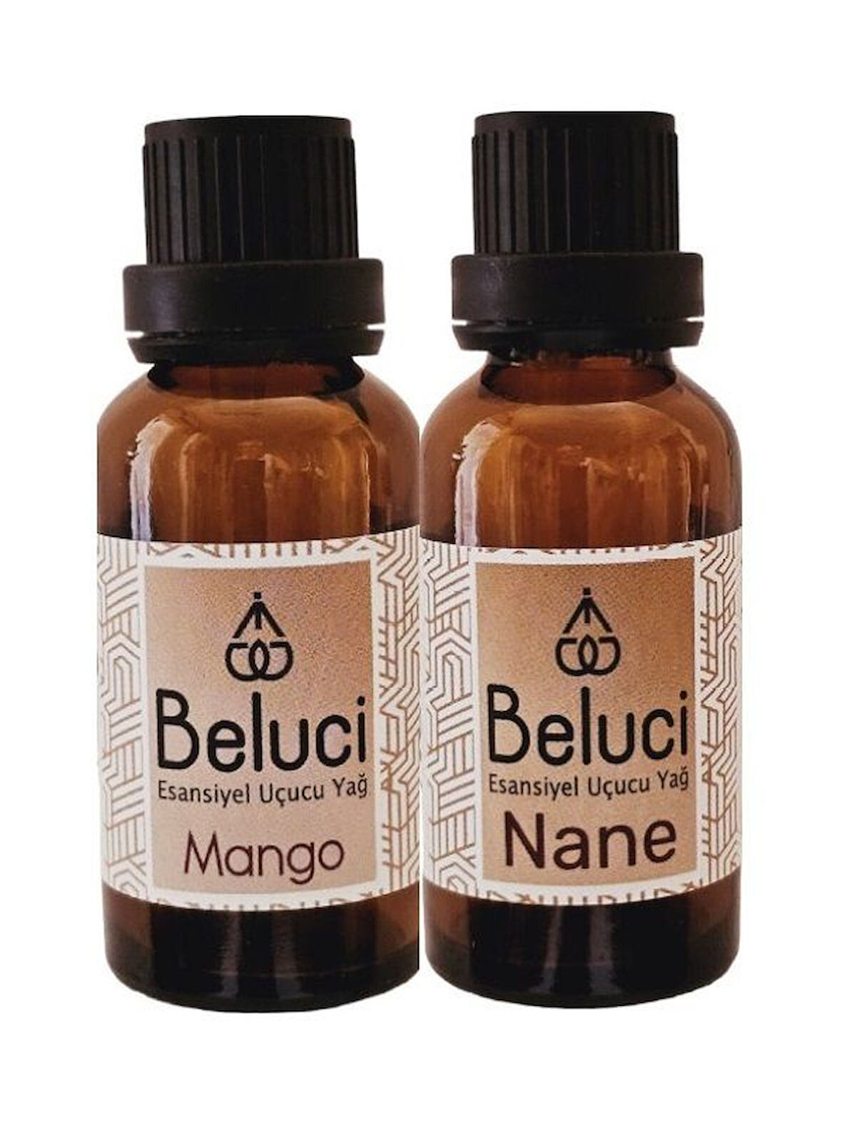 Mango + Nane (Oda Kokusu Aroma Terapi Buhurdanlık/Difüzör Yağı) Set 2 Adet x 30 ml