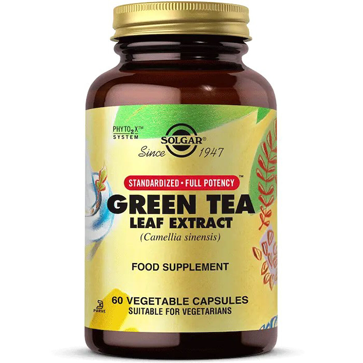 Solgar Green Tea Leaf Extract 60 Kapsül
