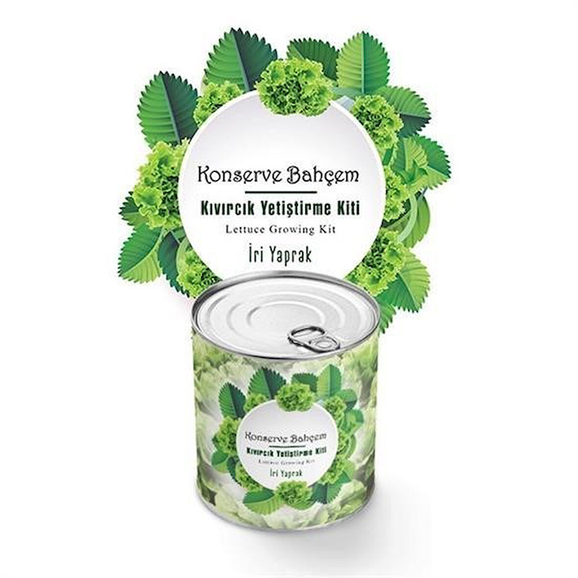 caselka® Konserve Bahçem Evde Konservede İri Yapraklı Kıvırcık Yetiştirme Kiti