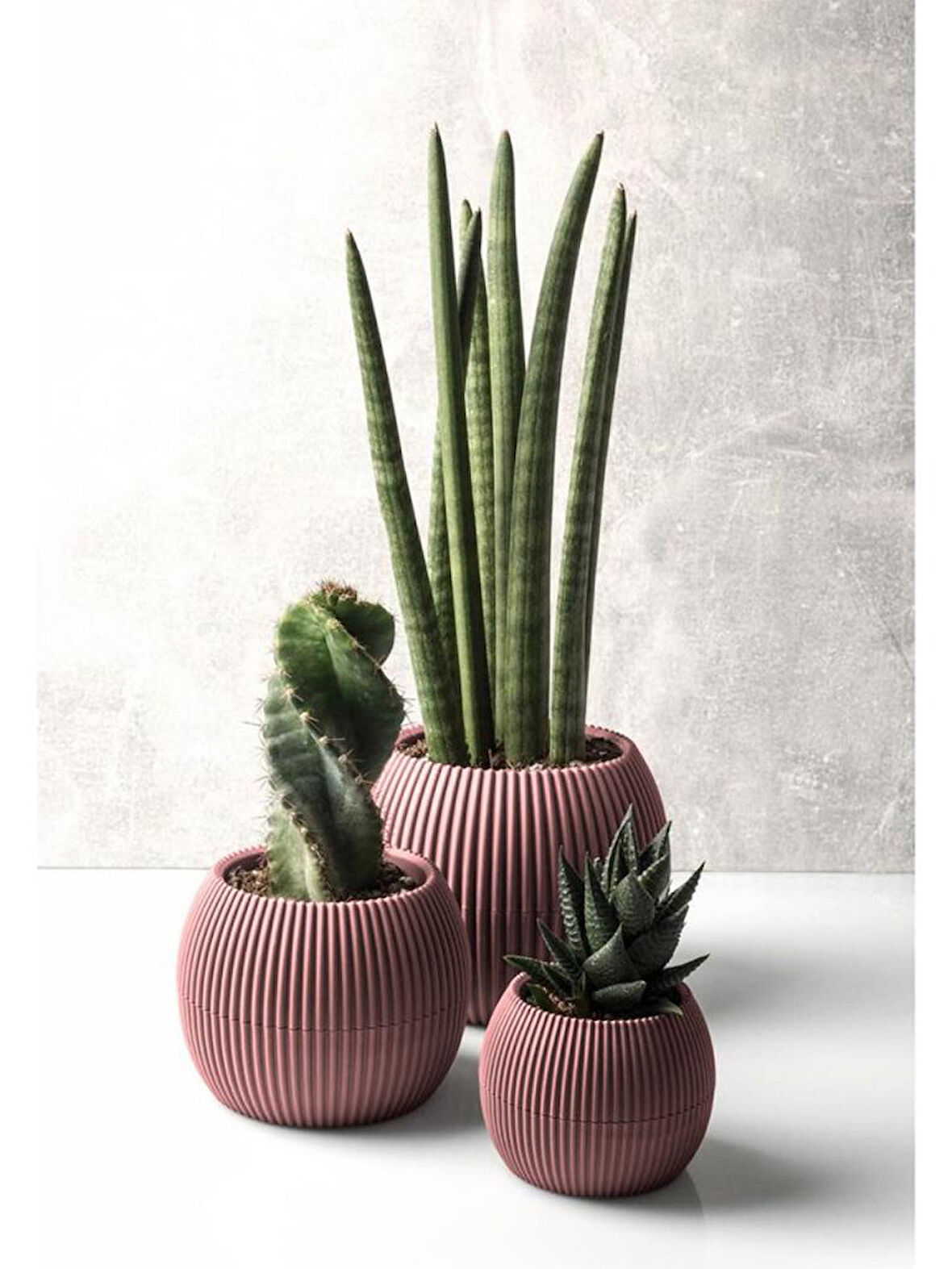 Omnipazar KRS Mercan Dekoratif Kaktüs Sukulent Plastik Saksı Takımı 3'lü Set Soft Pembe