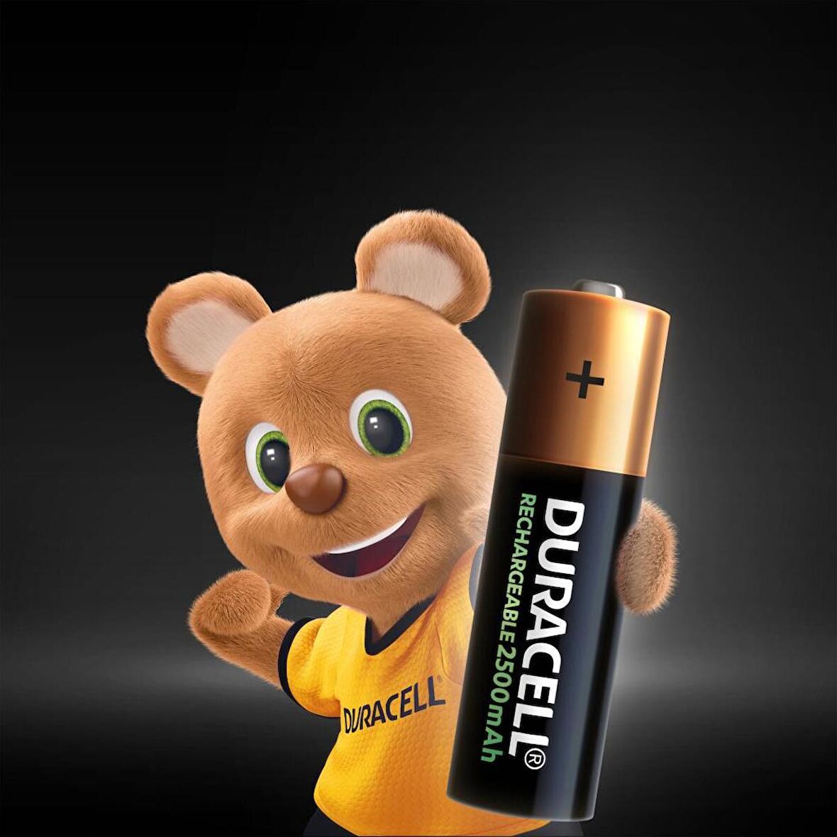 Duracell Şarj Edilebilir AA 2500mAh Piller, 2 Li Paket x2 (4 Adet)