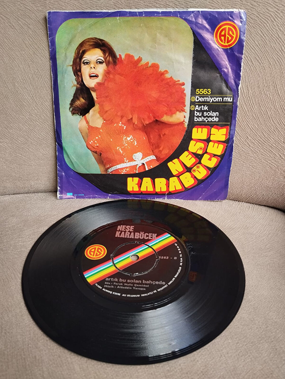 Neşe Karaböcek – Demiyom Mu / Artık Bu Solan Bahçede - 1974 Türkiye Basım  45 lik Plak