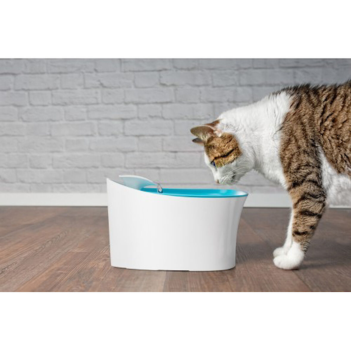 Periboia Otomatik Uyarılı Kedi Köpek Su Kabı