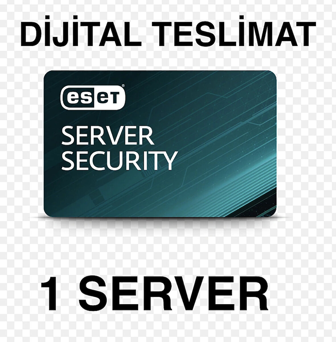 ESET WİNDOWS SERVER 1 CİHAZ KORUMA