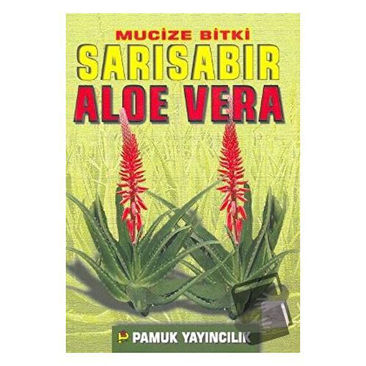 Mucize Bitki Sarı Sabır Aloe Vera (Bitki-017)