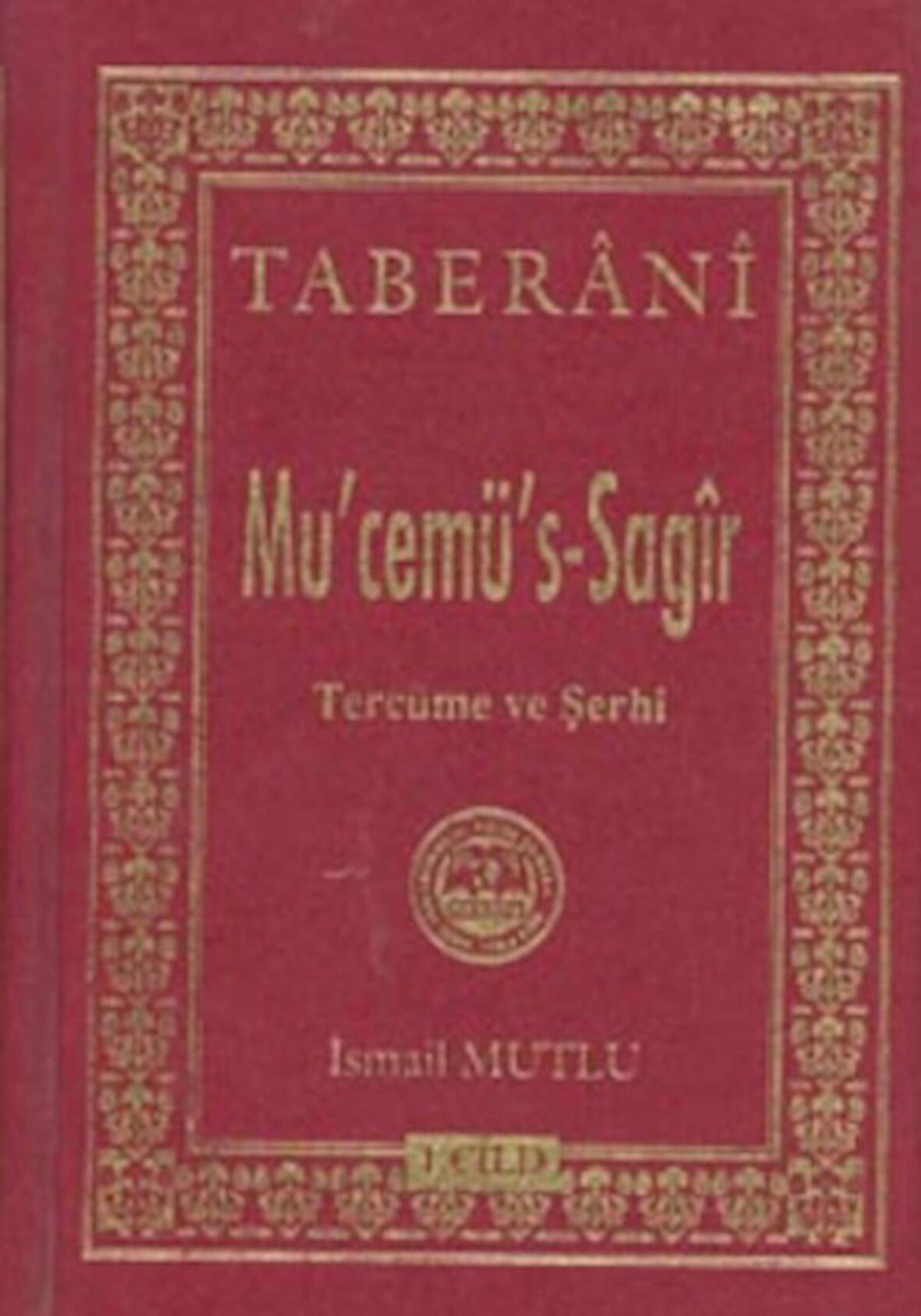 Mu'cemü's - Sagir 1. Cilt