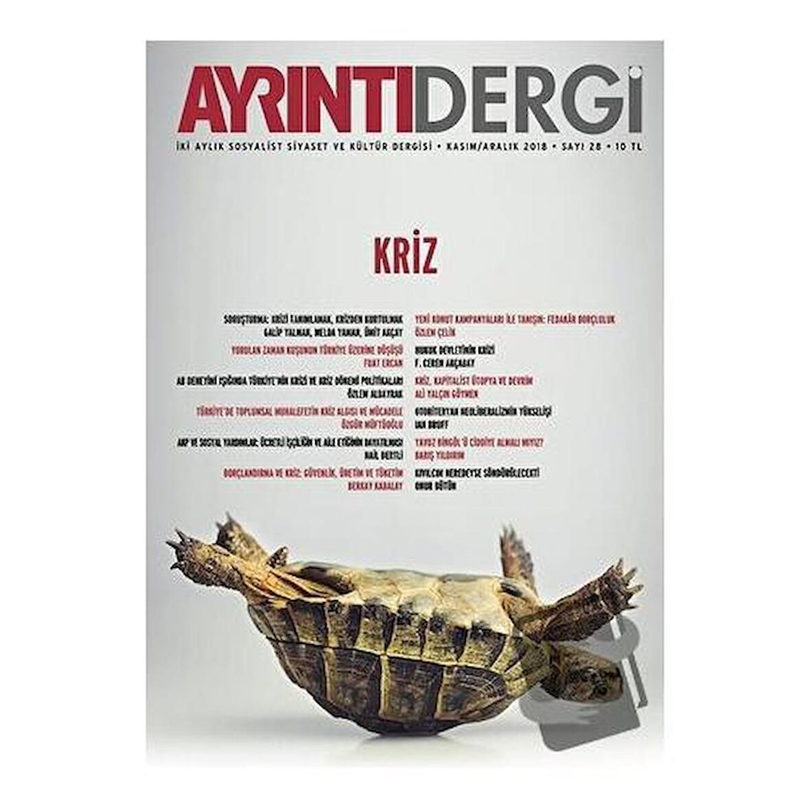 Ayrıntı Dergisi Sayı: 28 Kasım - Aralık 2018