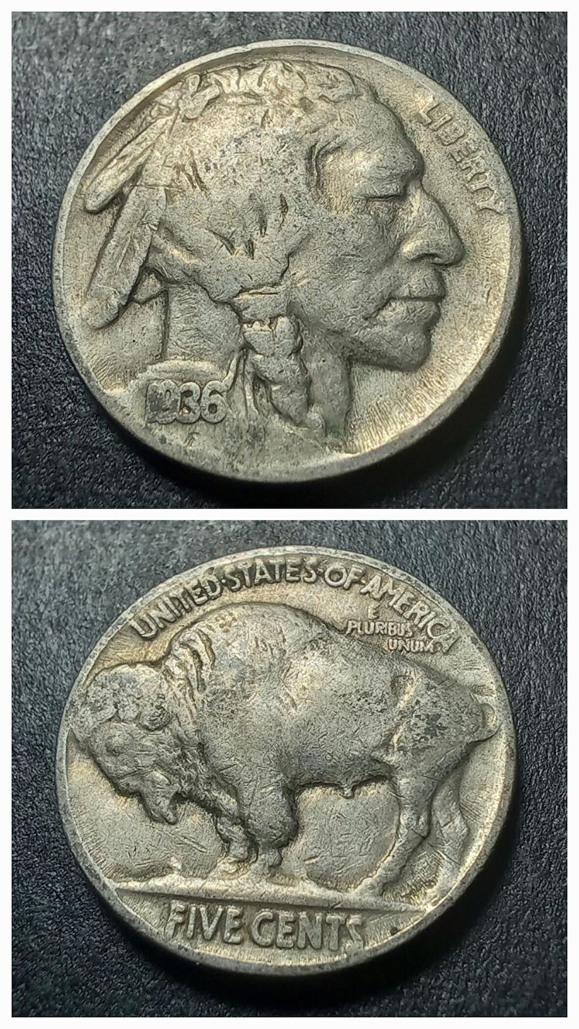 1936 Kızılderili-Bufalo 5 Cent ÇT/ÇÇT Eski Yabancı Madeni Para - 399636657af03ee72f