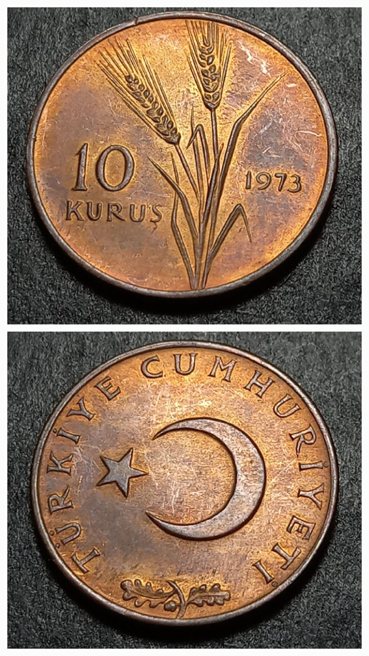 Escoines Koleksiyon 1973 Bakır 10 Kuruş ÇİL/PATİNALI %95 Bakır, eski madeni para -39963669b9e3481fe2