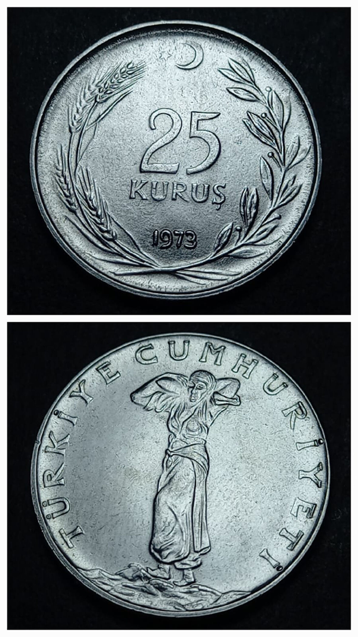 Escoines Koleksiyon 1973 Akmonital 25Kuruş ÇİL eski madeni para 399636715873a2890c