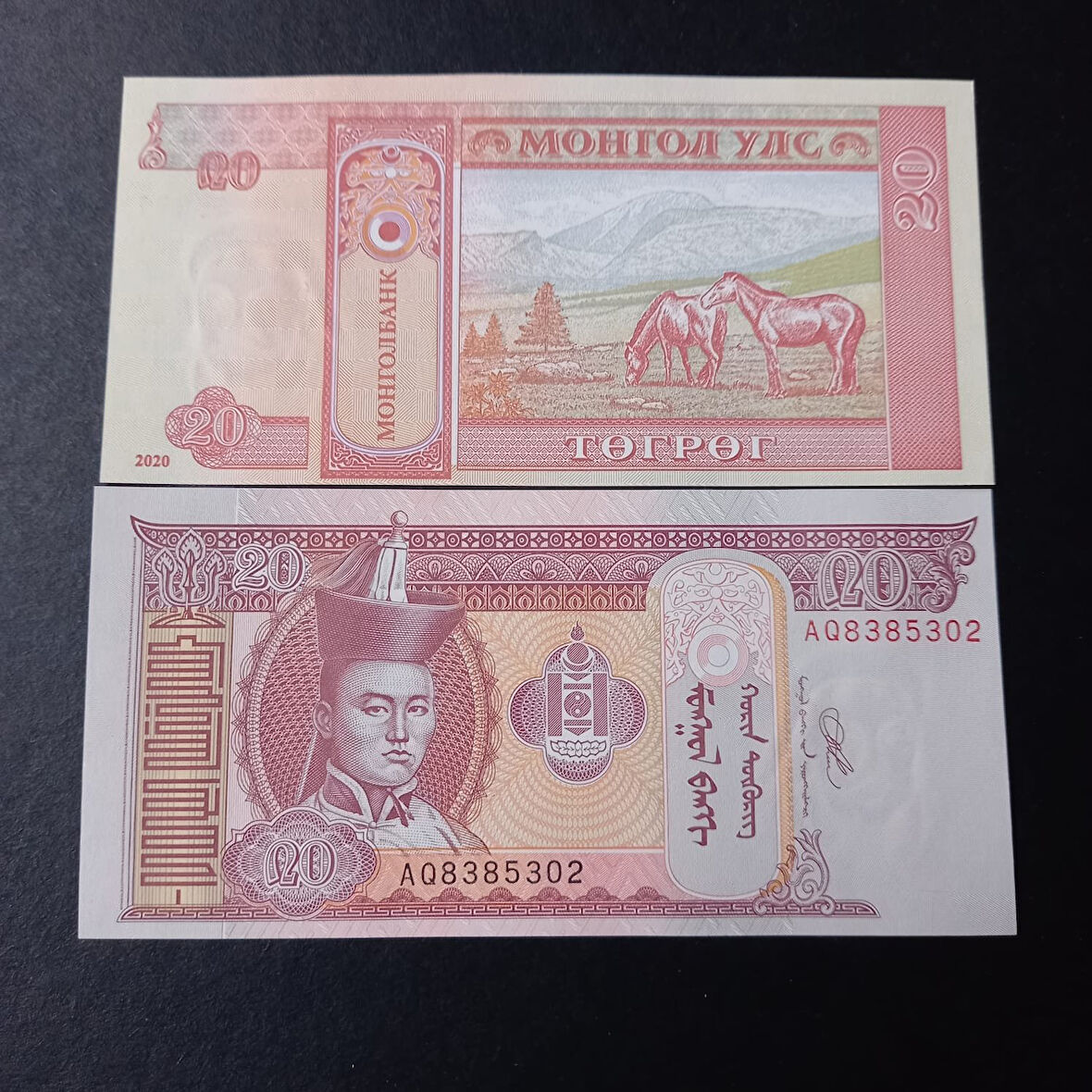 Escoines Koleksiyon 39963675dd9959e97f ÇİL 2020 Moğolistan 20Tugrik yabancı kağıt para