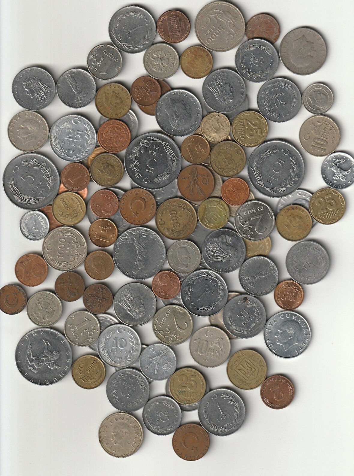 Escoines Koleksiyon 399636792f82867f52 100Adet Yerli/Yabancı Koleksiyon Başlangıç seti