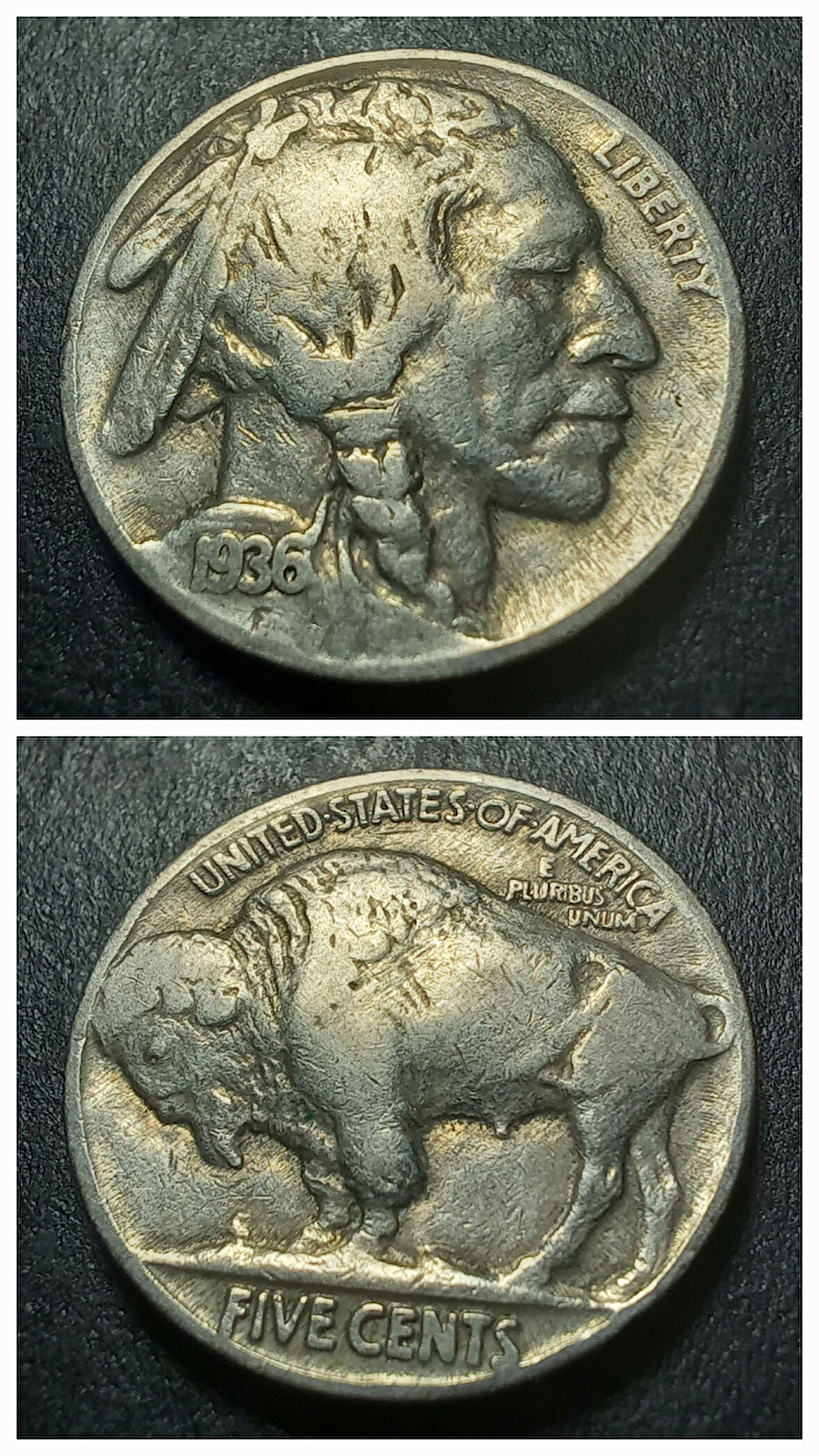 Escoines Koleksiyon 3996367e359a992cb7 1936 Amerika 5Cent Kızılderili-Bufalo ÇÇT+ Eski Madeni Para