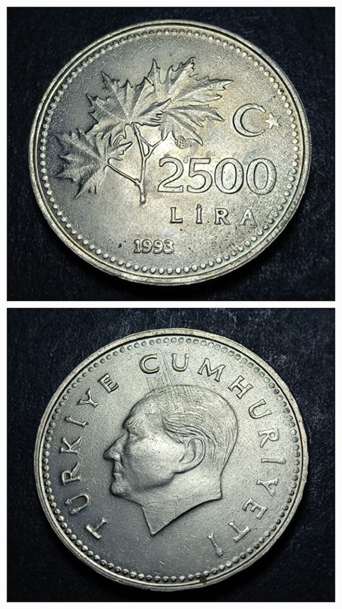 Escoines Koleksiyon 3996367e9d839a20b3 2500 Lira 1993 Nadir çıkar ÇİL eski madeni para
