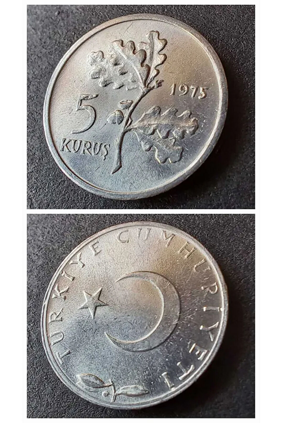 Escoines Koleksiyon 3996368014972802ff 1975 Alüminyum 5 kuruş ÇİL eski madeni para