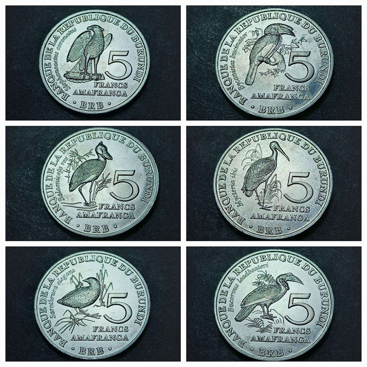 Escoines Koleksiyon 399636802a806b813d 2014 Burundi Kuşlar Serisi 5 Frank Tam set - Alüminyum ÇİL