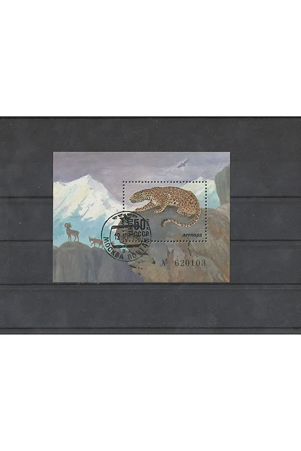 Escoines Koleksiyon 39963680e1bc4e7d3b 1985rusya leopar temalı blok pulu
