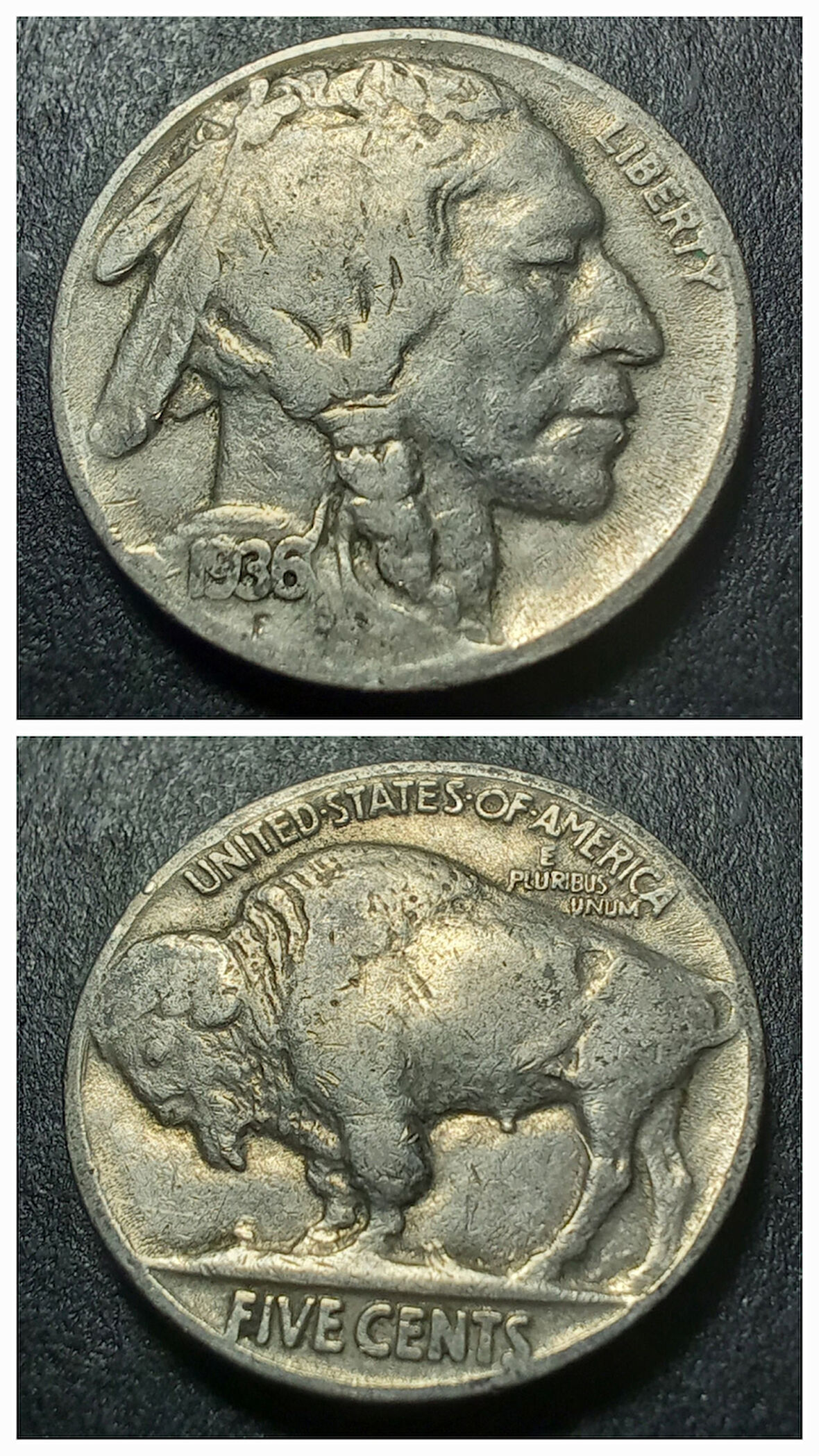 Escoines Koleksiyon 39963682cfc276dfd1 1936 Kızılderili-Bufalo Amerika 5 Cent ÇT/ÇÇT Eski Yabancı Madeni Para