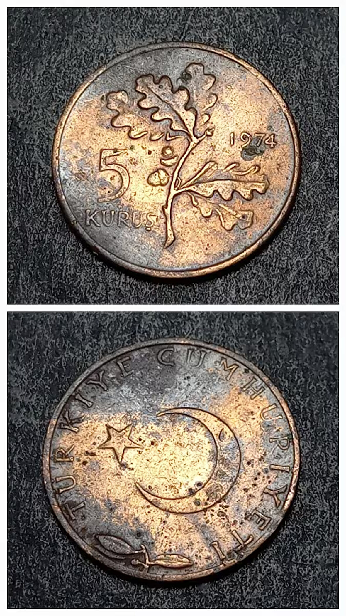 Escoines Koleksiyon 39963687341c6d7194 1974 Bronz 5Kuruş Para