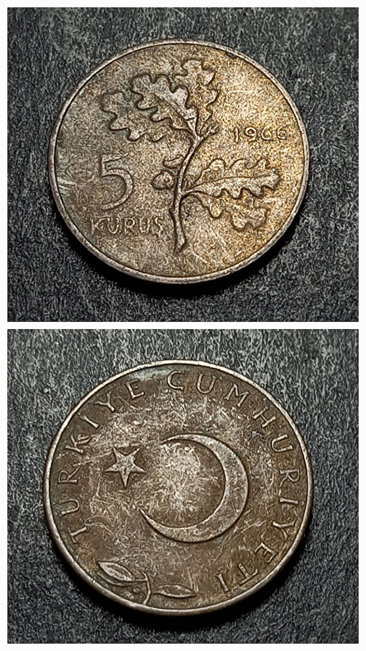 Escoines 399636873432eb5eb3 5Kuruş 1966 temiz %97 Bakır Para