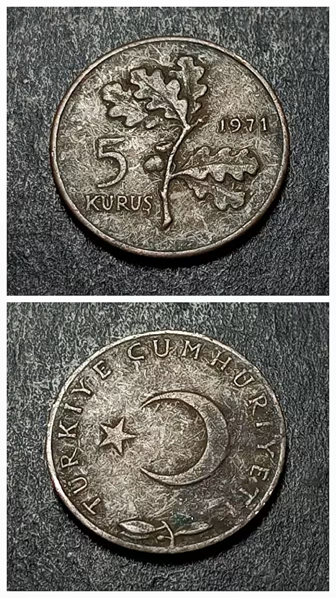 Escoines 399636873439c03498 5 Kuruş 1971 Bronz Para