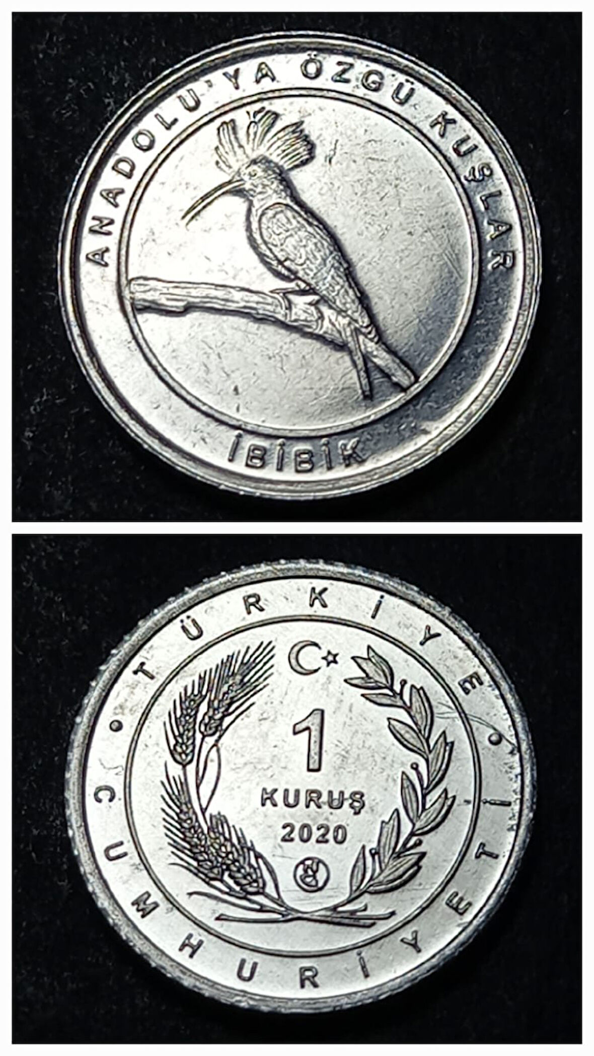 Escoines 39963689494501f032 2020 Anadolu'ya Özgü Kuşlar Serisi İBİBİK 1 Kuruş ÇİL Para