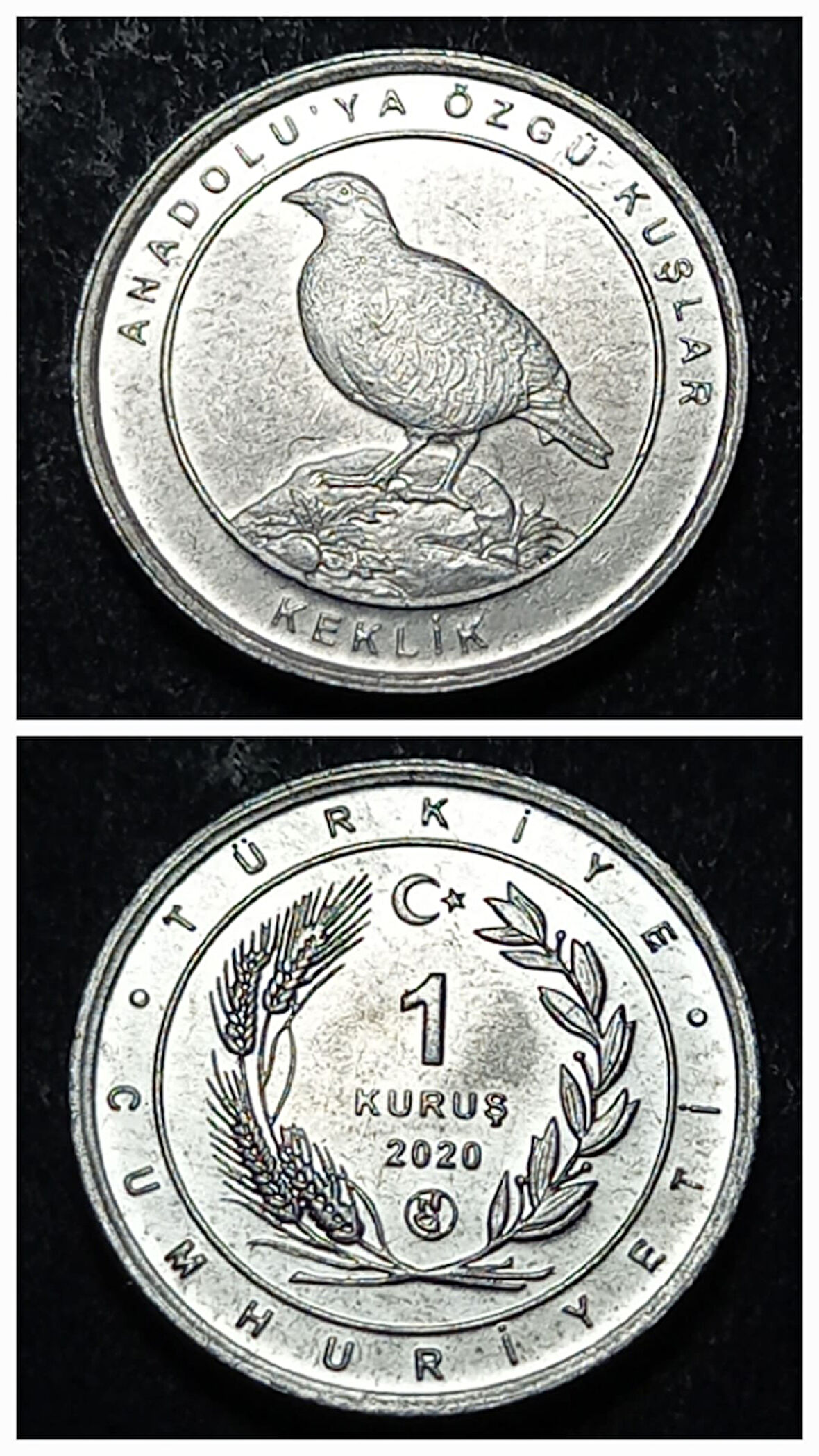 Escoines 39963689494665bd49 2020 Anadolu'ya Özgü Kuşlar Serisi KEKLİK 1Kuruş ÇİL Para