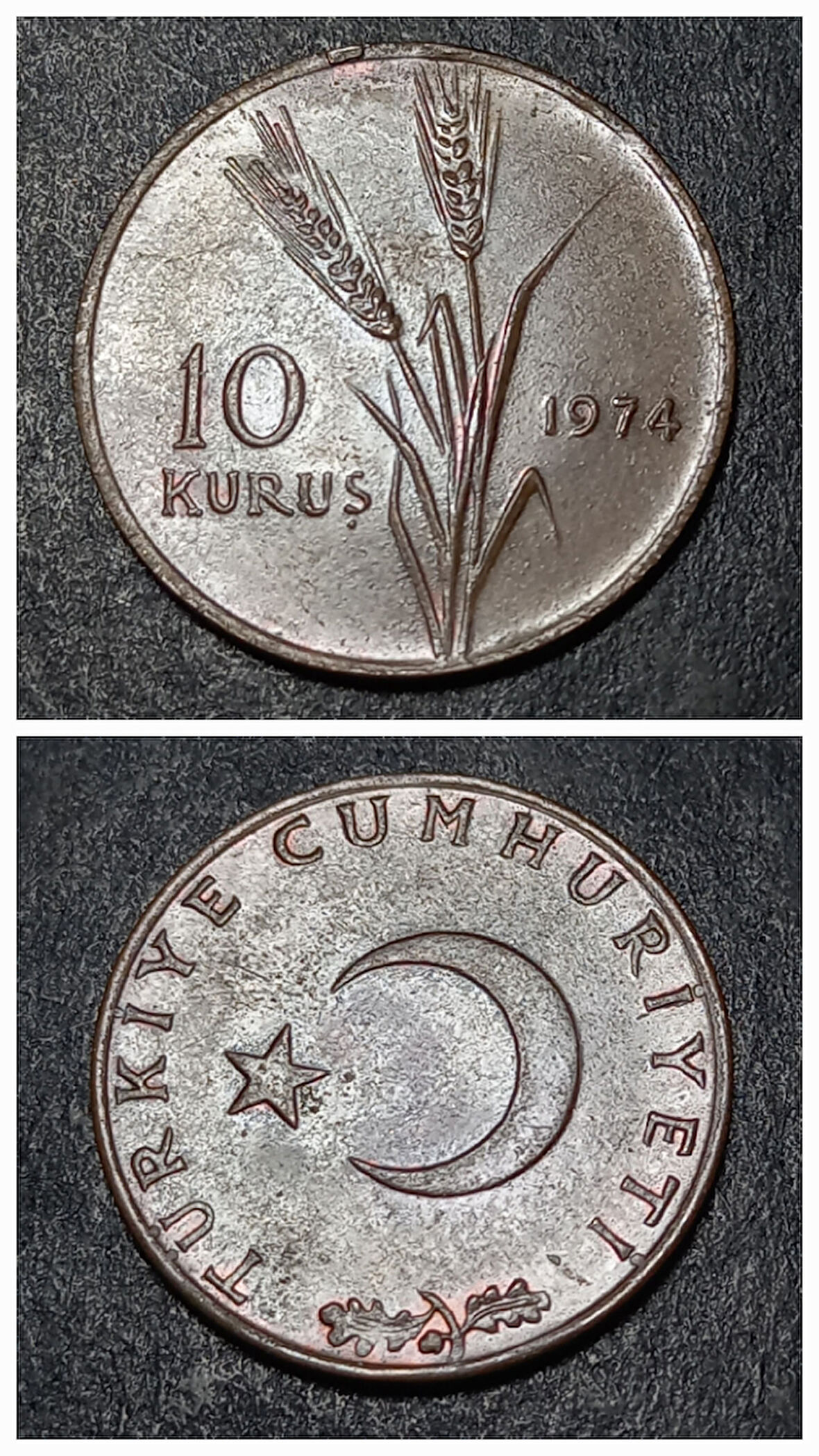 Escoines 3996368990195a62d7 1974 10KURUŞ ÇÇT+ %97 Bakır para