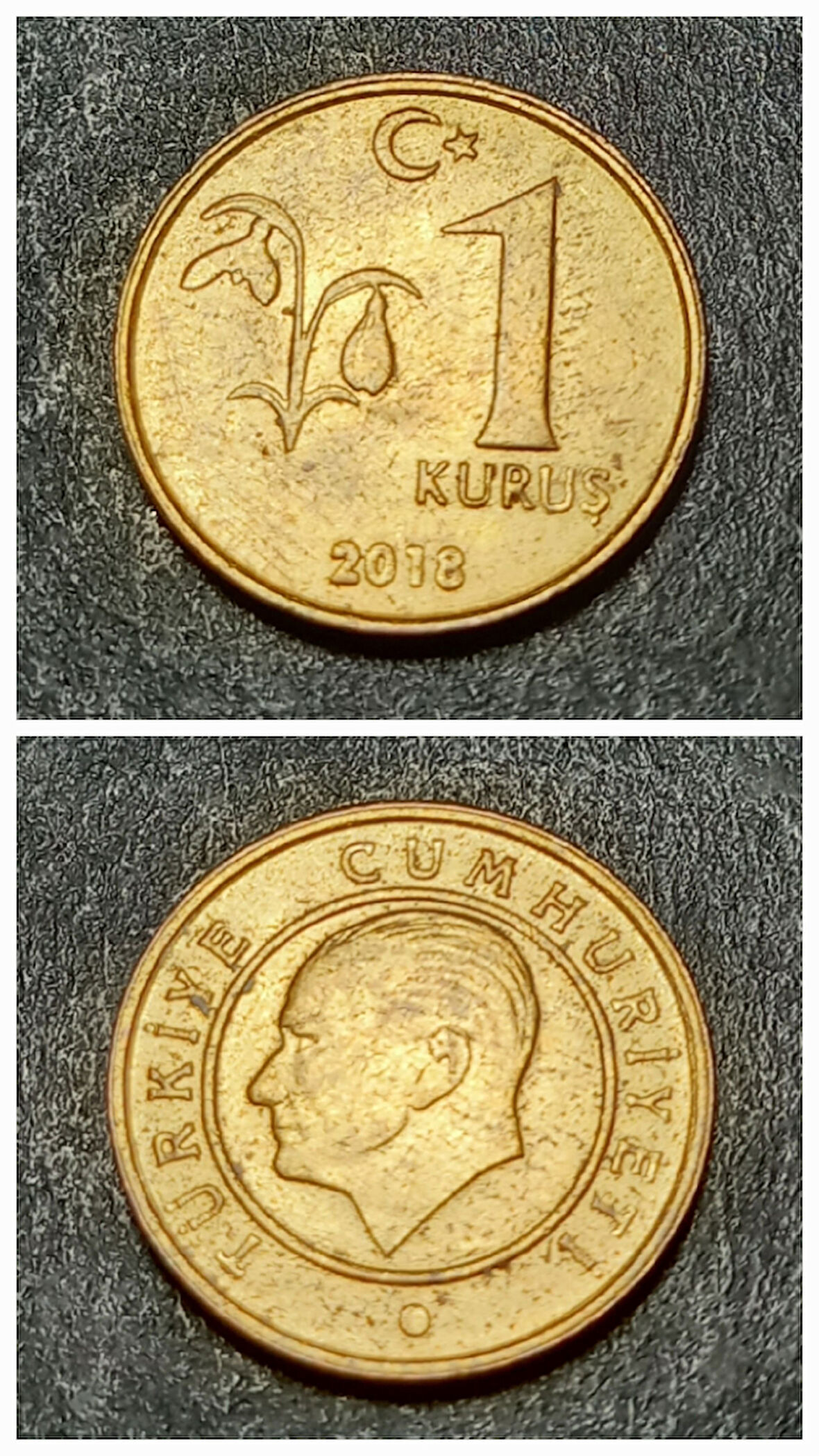 Escoines 39963689919749e313 2018 1 kuruş ççt+ Pirinç para